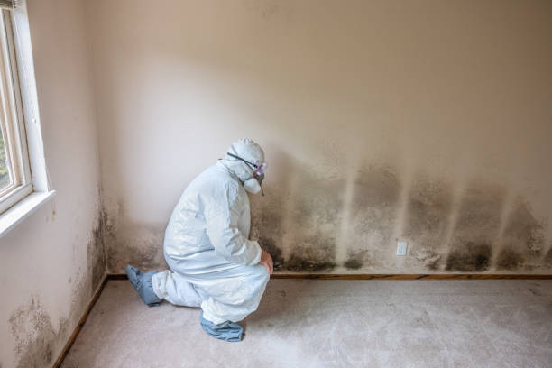 Best Residential Mold Removal  in Gregory, SD