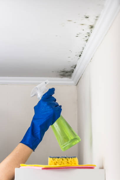 Gregory, SD Mold Removal Company